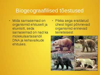 Evolutsiooni tõendid #10