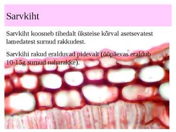 Nahk #15
