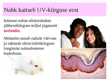 Nahk #4