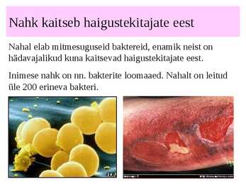 Nahk #6