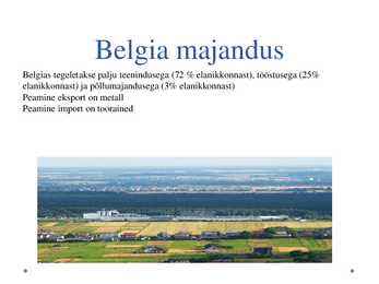 Belgia #8