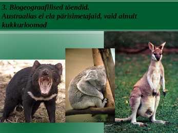 Evolutsiooni tõendid #12