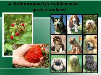 Evolutsiooni tõendid #13