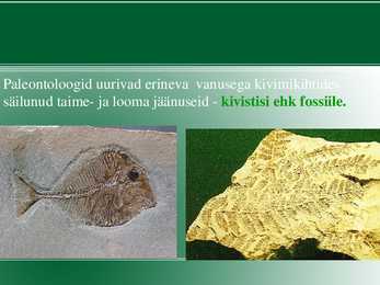 Evolutsiooni tõendid #3