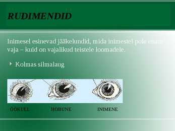 Evolutsiooni tõendid #6
