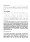 Referaat Vivienne Westwood #3
