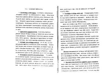 Puidu töötlemise tehnoloogia I #31