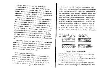 Puidu töötlemise tehnoloogia I #48