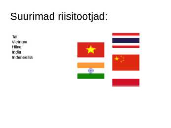 Riis #4