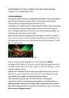 Laserid #4