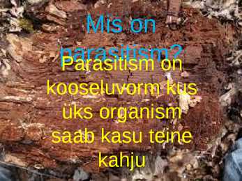 Inimeste parasiitseened #2
