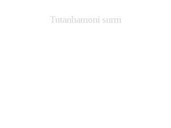 Tutanhamon 2 #4