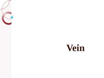 Vein