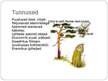 Paljasseemnetaimed #2