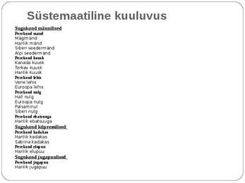 Paljasseemnetaimed #9