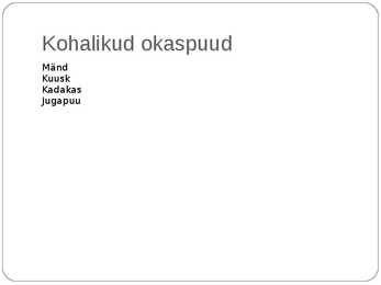 Paljasseemnetaimed #10