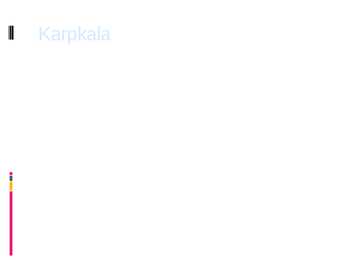 Karpkala esitlus #2