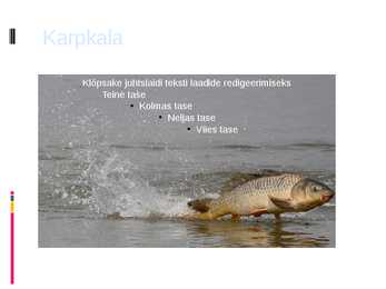 Karpkala esitlus #19