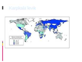 Karpkala esitlus #4