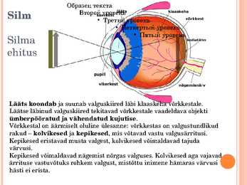 Optilised riistad #4