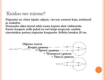 Optilised riistad #6