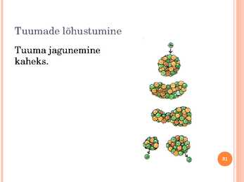 Tuumafüüsika ja elementaarosakeste füüsika #31
