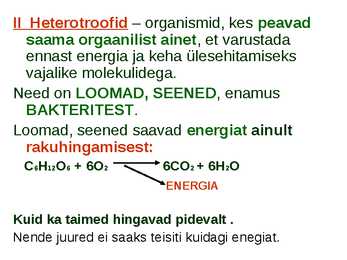 Miks on kooli kohustuslikus õppekavas bioloogia #20