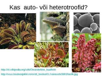 Miks on kooli kohustuslikus õppekavas bioloogia #22