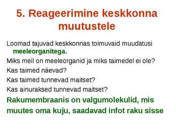 Miks on kooli kohustuslikus õppekavas bioloogia #24