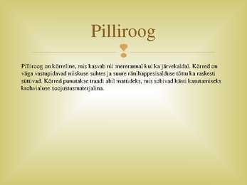 Pilliroog soojustusmaterjalina #2