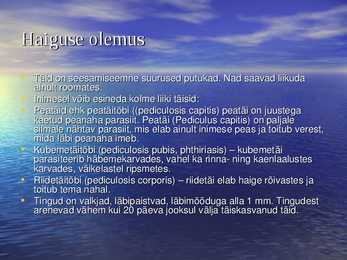 PARASITAARSED NAHAHAIGUSED - SÜGELISED JA TÄID #13