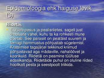 PARASITAARSED NAHAHAIGUSED - SÜGELISED JA TÄID #18