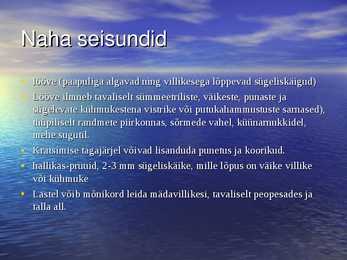 PARASITAARSED NAHAHAIGUSED - SÜGELISED JA TÄID #7