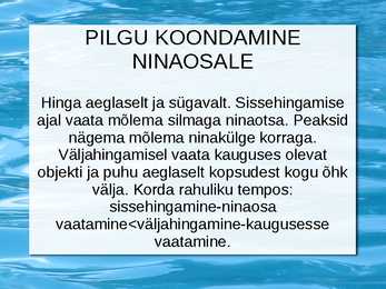 Silmalihaste treenimine #15
