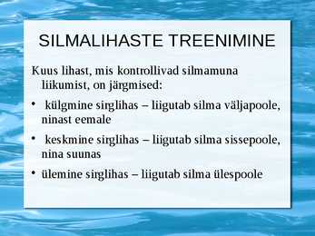 Silmalihaste treenimine #8