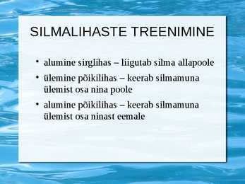 Silmalihaste treenimine #9