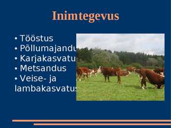 Parasvöötme segamets ja lehtmets #12