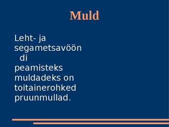 Parasvöötme segamets ja lehtmets #4