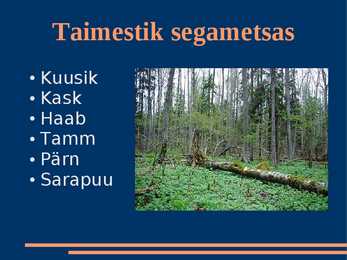 Parasvöötme segamets ja lehtmets #6