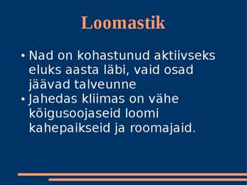 Parasvöötme segamets ja lehtmets #10