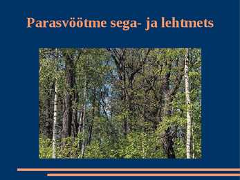 Parasvöötme segamets ja lehtmets