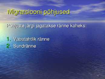 Migratsioon #6