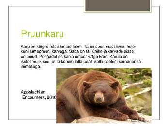 Soomaa Rahvuspark #12