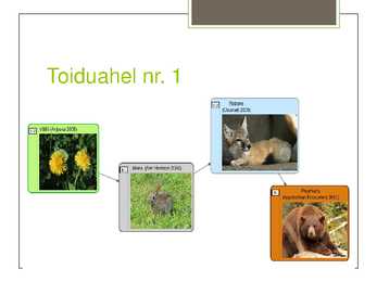 Soomaa Rahvuspark #13