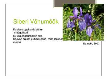 Soomaa Rahvuspark #4