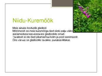 Soomaa Rahvuspark #6
