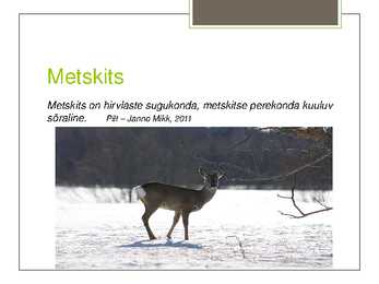 Soomaa Rahvuspark #9