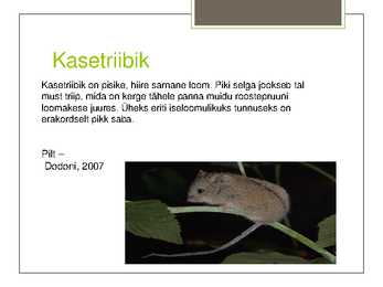 Soomaa Rahvuspark #10