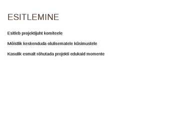 PROJEKTI ARUANDLUS #8