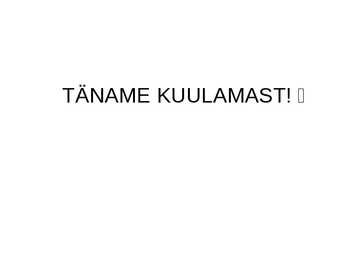 PROJEKTI ARUANDLUS #10